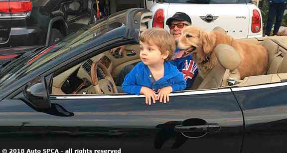 How we hang - with our grandkids in the Jaguar