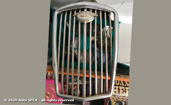 Wolseley-Automobile-Grill