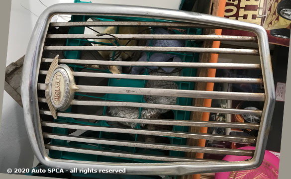 Wolseley-Automobile-Grill