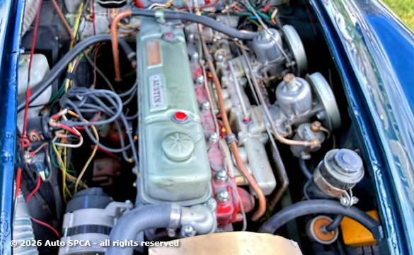 1958 Austin Healy 100-6 Photograph