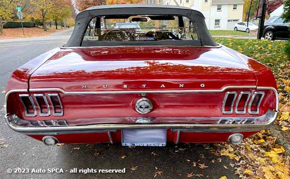 1968 Ford Mustang Convertible Photograph