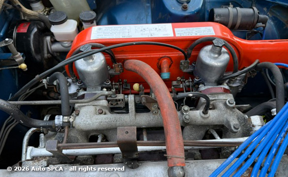 1958 Austin Healy 100-6 Photograph