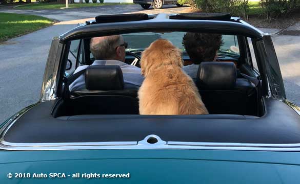 2006 Tahoe 22' Day Cruiser Rear View